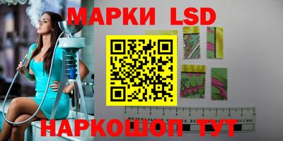 apvp Братск