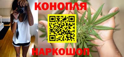 mdpv Брянск
