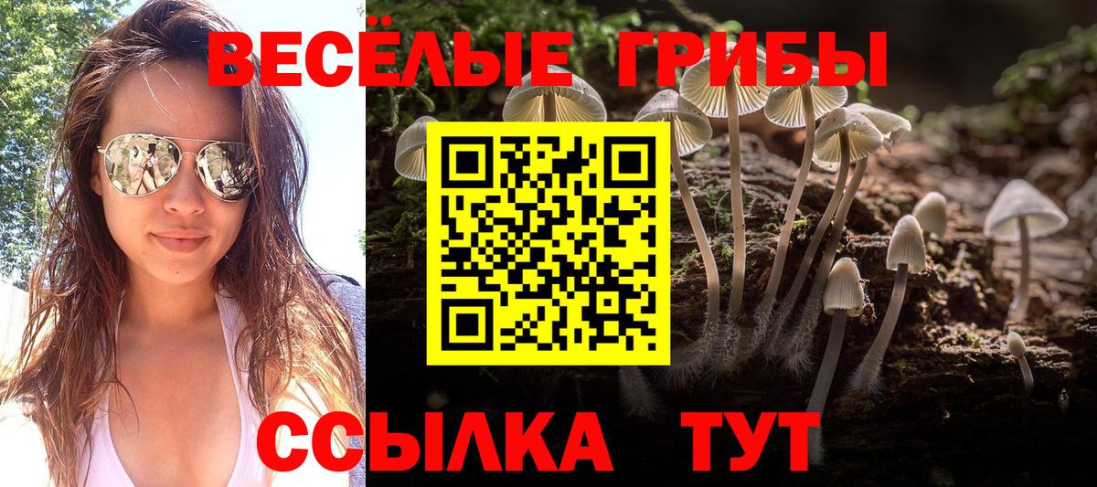 Галлюциногенные грибы GOLDEN TEACHER Воскресенск